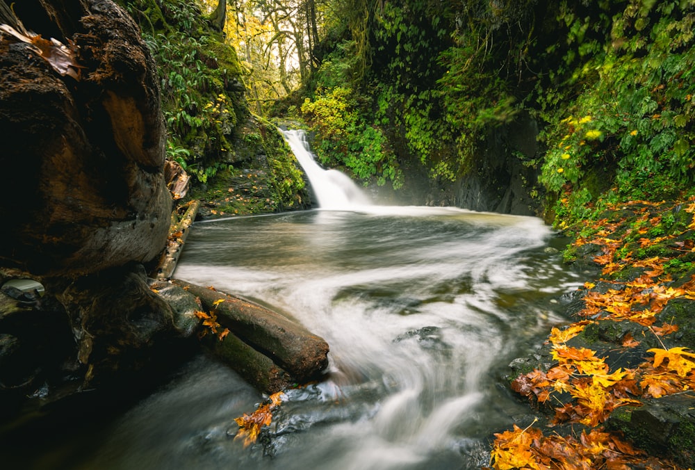 a small waterfall in the middle of a forest