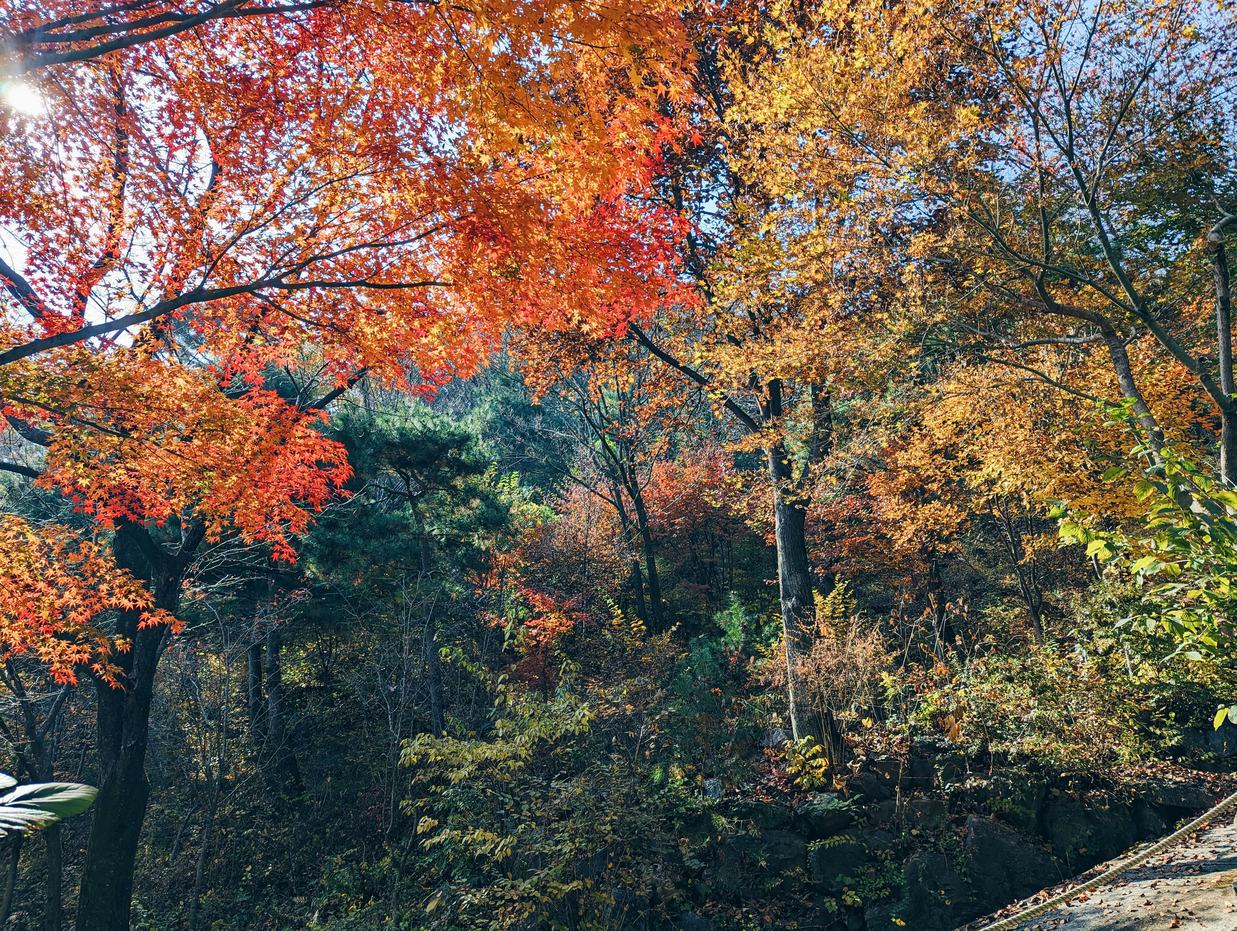 Photo by notethanun