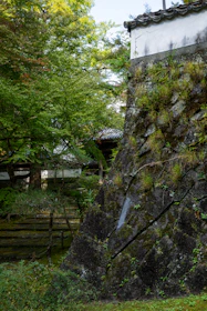 A sturdy, elegant retaining wall integrating with a vibrant garden backdrop.