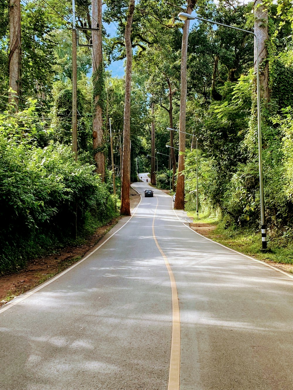 a car driving down a tree lined road