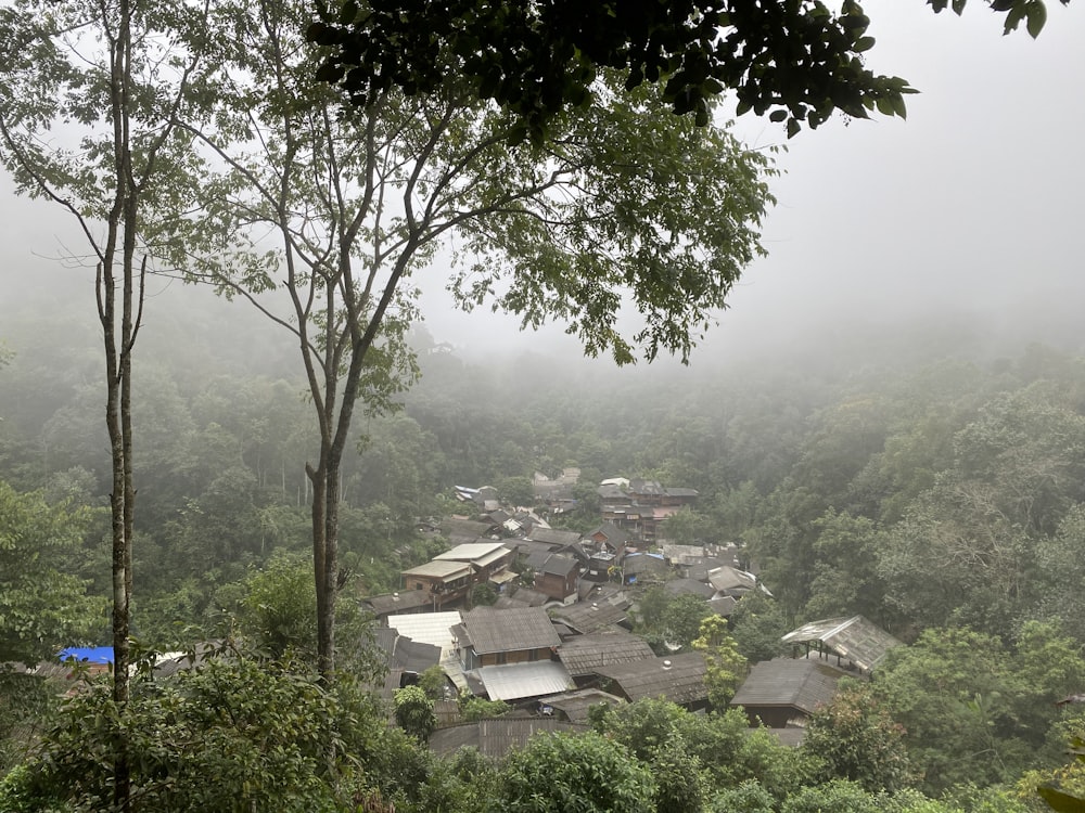 a village in the middle of a forest on a foggy day