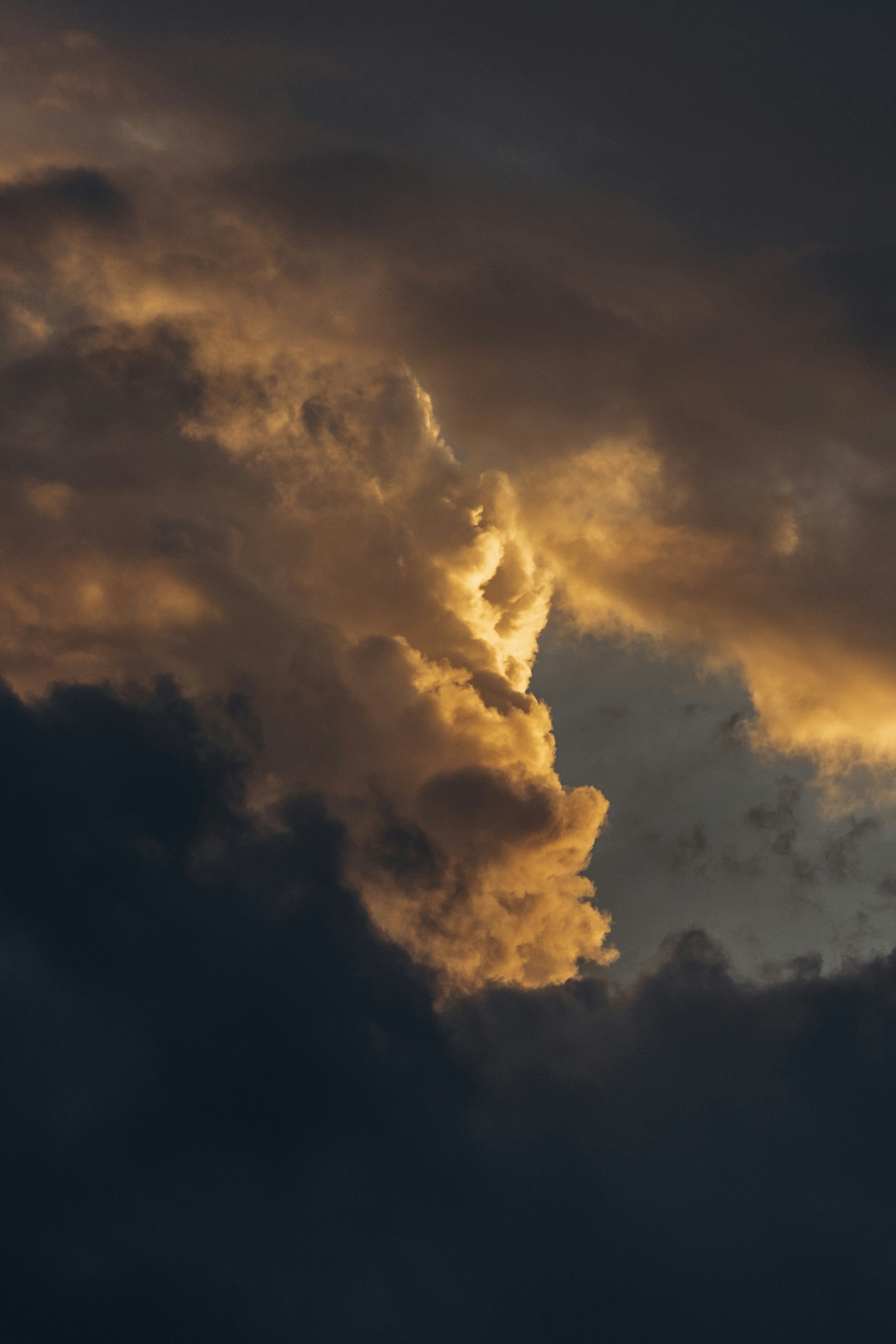 Photo by jonathanborba