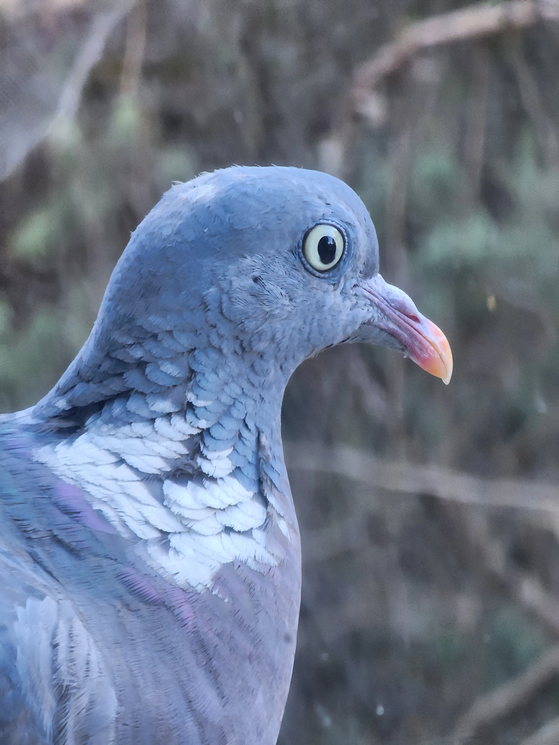 woman holding dried flower