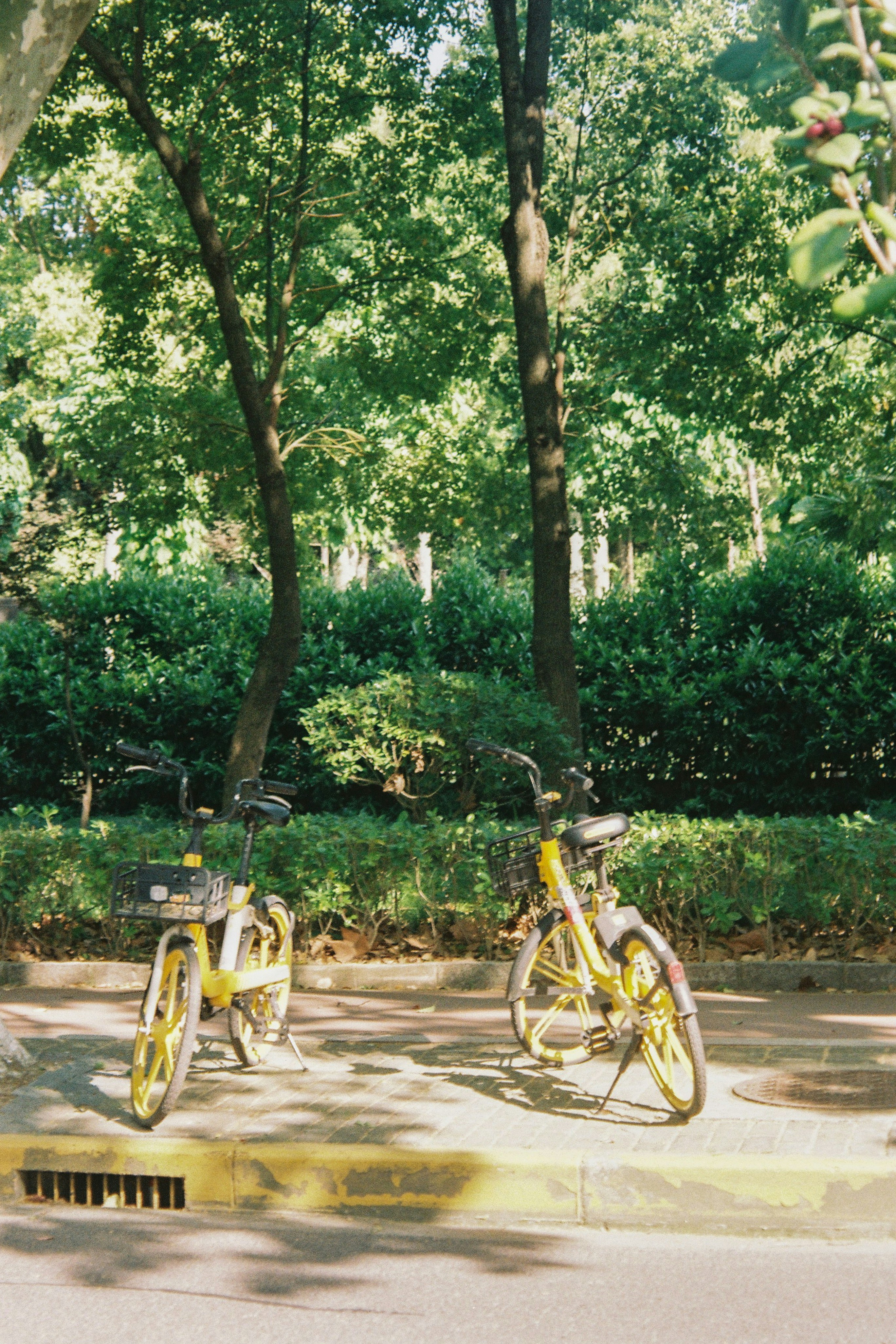 two bicycles parked next to each other on a sidewalk
