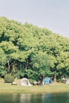 A serene outdoor scene with several tents pitched on a grassy area adjacent to a body of water. Lush green trees form a canopy in the background, providing shade and an inviting natural backdrop. People are seen engaging in leisure activities near the tents, enjoying a peaceful day in nature.