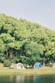 A serene outdoor scene with several tents pitched on a grassy area adjacent to a body of water. Lush green trees form a canopy in the background, providing shade and an inviting natural backdrop. People are seen engaging in leisure activities near the tents, enjoying a peaceful day in nature.