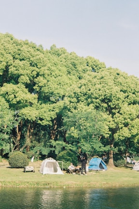 A serene outdoor scene with several tents pitched on a grassy area adjacent to a body of water. Lush green trees form a canopy in the background, providing shade and an inviting natural backdrop. People are seen engaging in leisure activities near the tents, enjoying a peaceful day in nature.