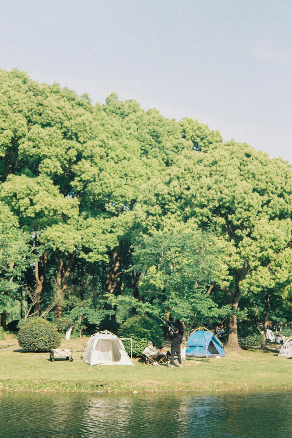 a group of tents set up next to a body of water