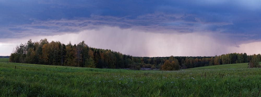 a field with grass and trees under a cloudy sky