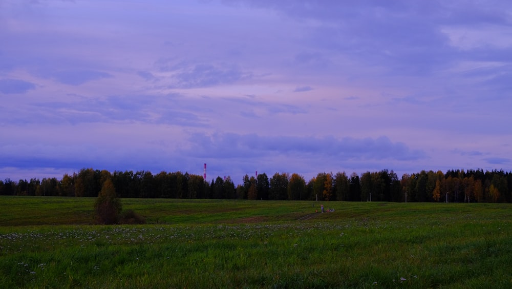 a grassy field with trees in the background