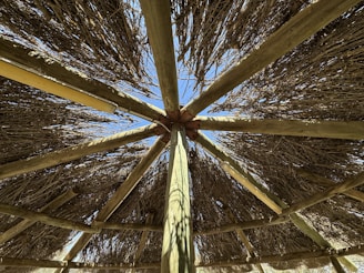 A sturdy wooden roof frame treated and protected against pests.