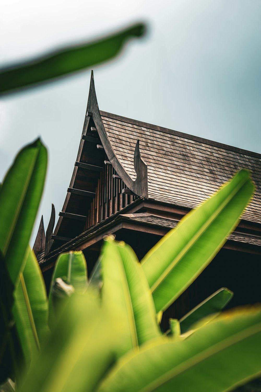 the roof of a building with a bird on it