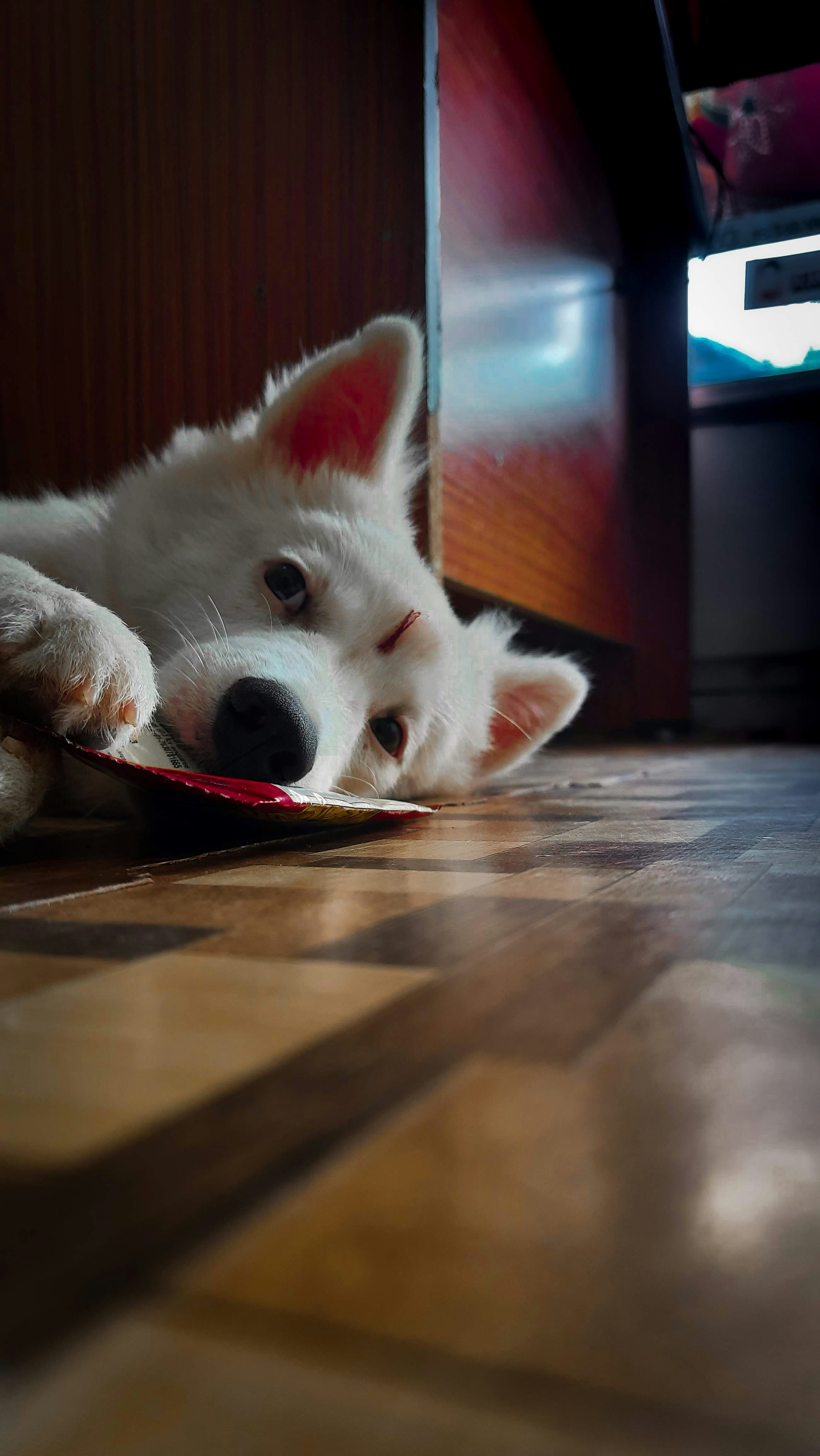 Photo by praneeth0254