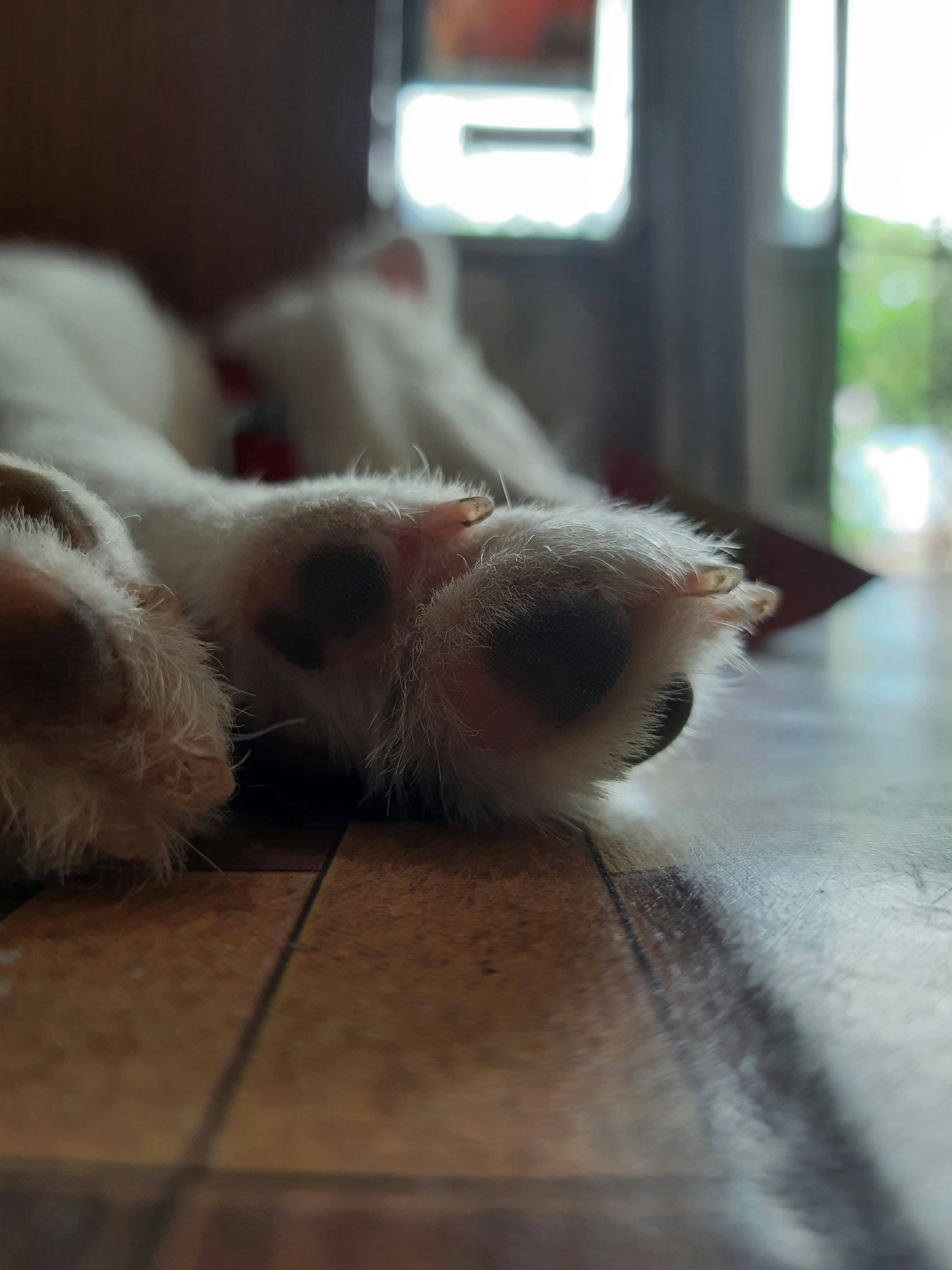 Photo by praneeth0254