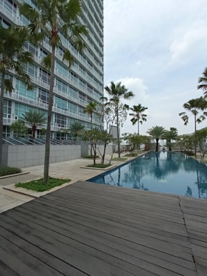 A modern high-rise building with glass windows stands alongside a long, rectangular swimming pool. Palm trees and neatly landscaped greenery line the walkway, creating a serene and upscale environment. A wooden deck area is visible in the foreground, and the sky is overcast.