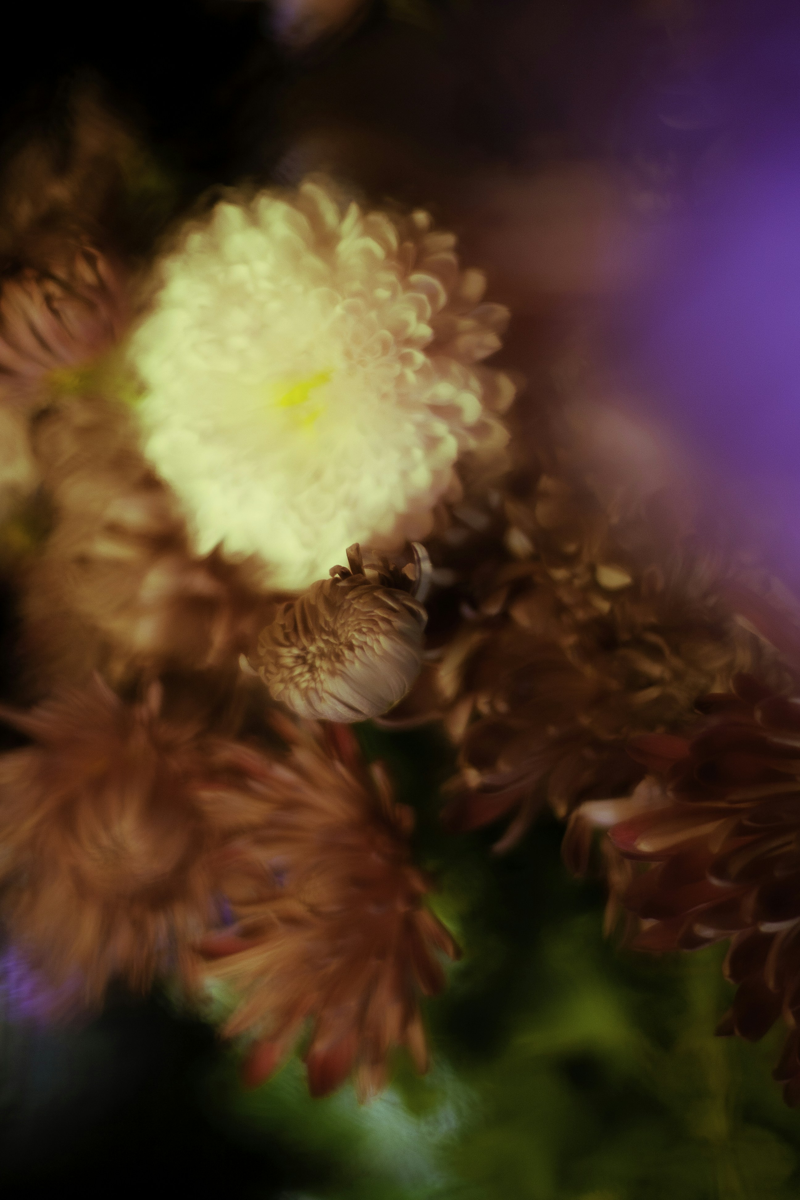 Photo by linaos