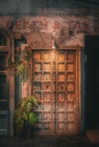 a large wooden door with a plant in front of it