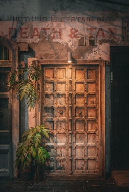 a large wooden door with a plant in front of it