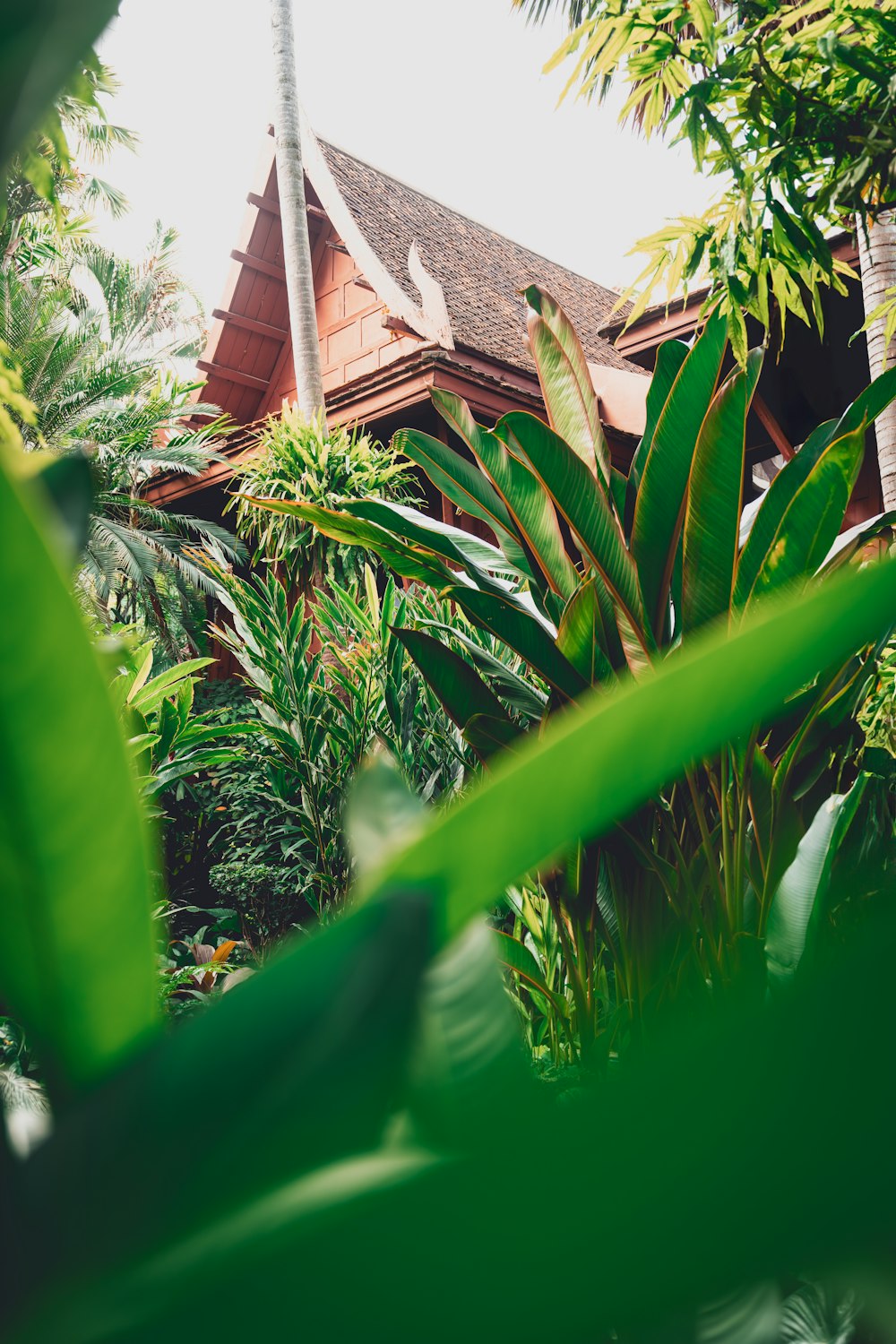 a house surrounded by trees and greenery