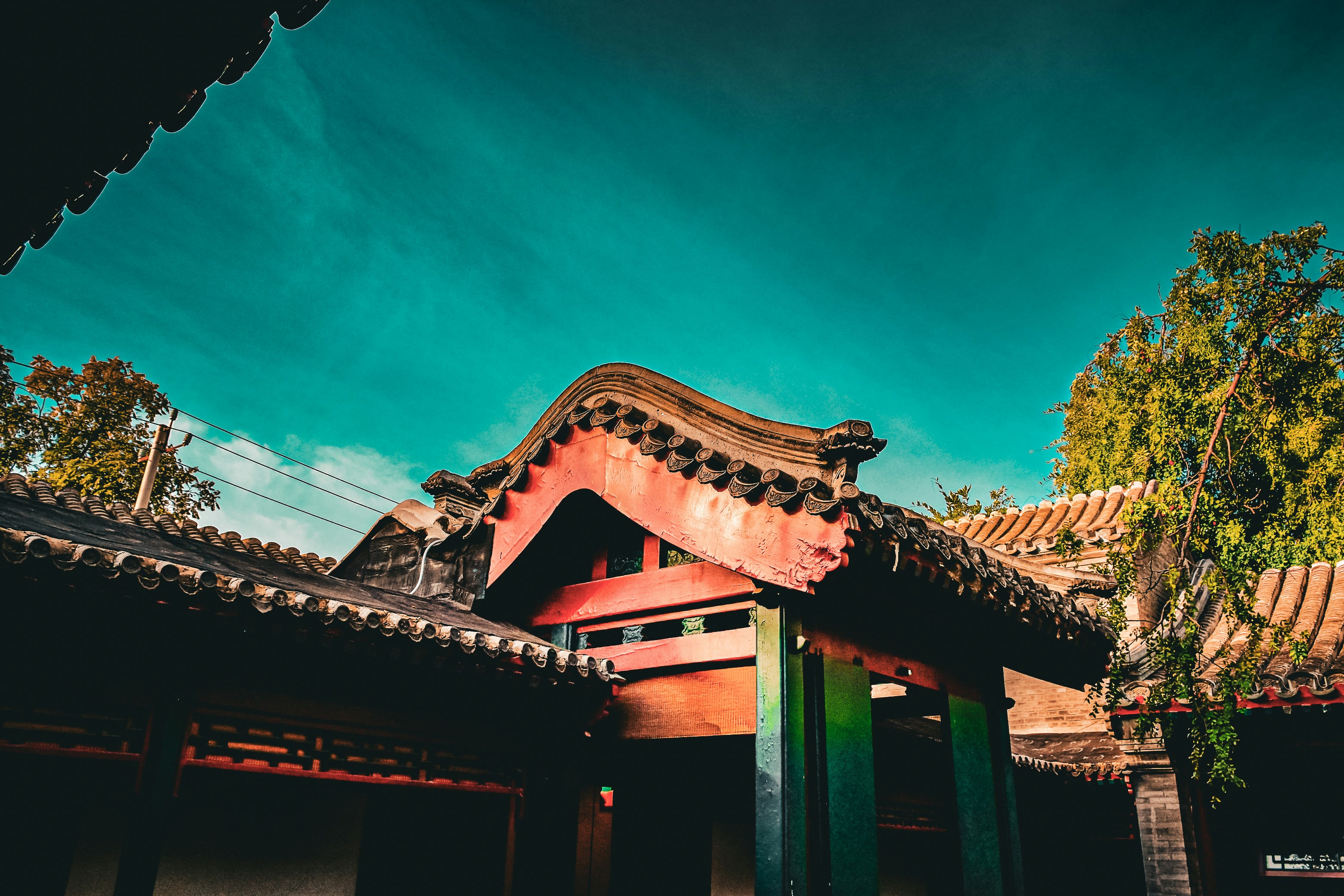 Photo by zhouyudesign