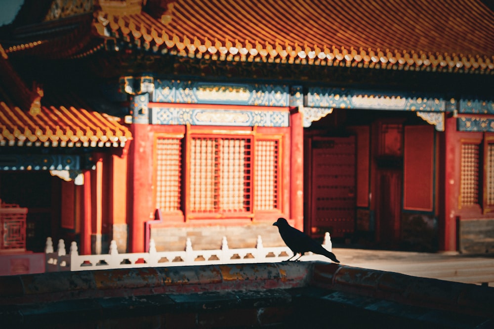 a black bird sitting on a ledge in front of a building