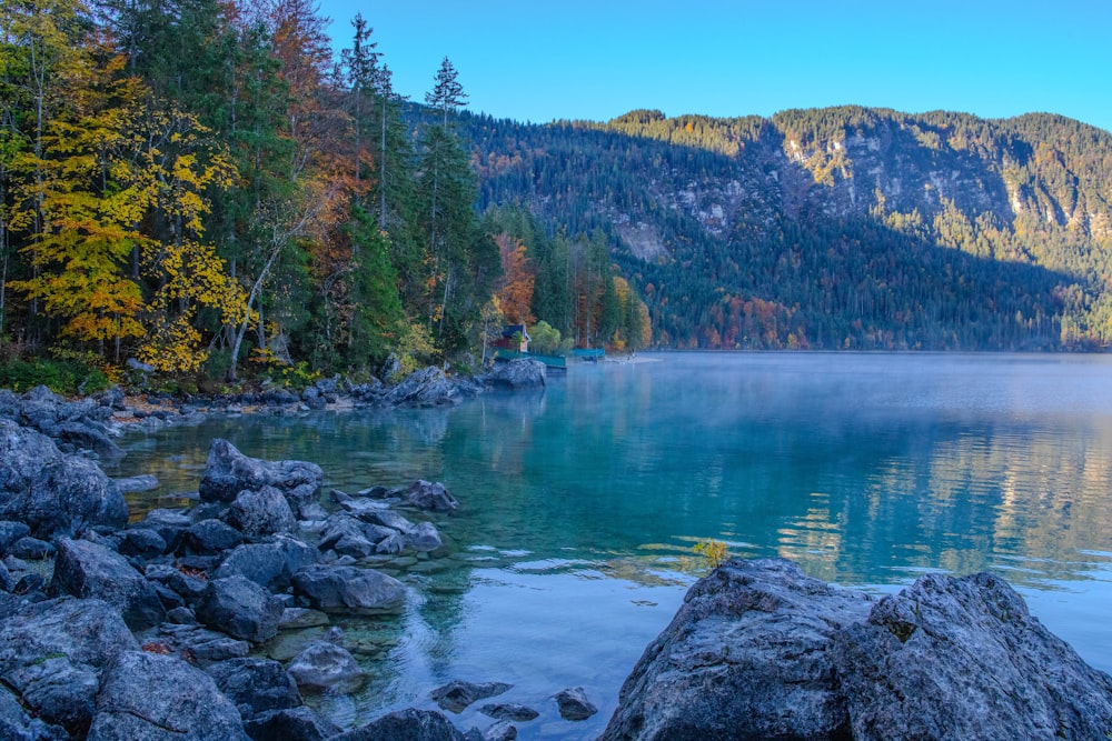 a body of water surrounded by trees and rocks