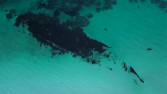 An aerial view of a submerged shipwreck surrounded by light turquoise water. The outlines of the ship are dark and contrast against the bright water. There are patches of seaweed or dark areas near the wreck.