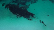 An aerial view of a submerged shipwreck surrounded by light turquoise water. The outlines of the ship are dark and contrast against the bright water. There are patches of seaweed or dark areas near the wreck.