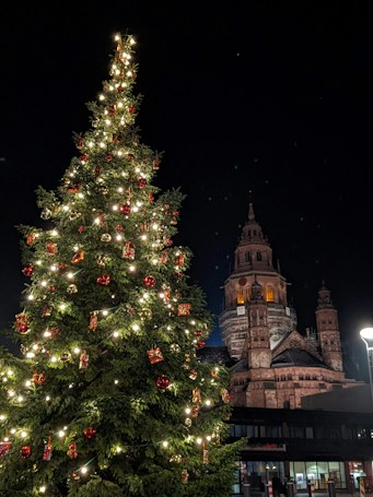 A large, decorated Christmas tree is illuminated with warm white lights and adorned with red and gold ornaments. In the background, an ornate, historic cathedral is visible, subtly lit against the dark night sky.