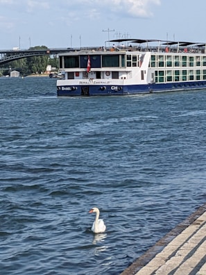 A large river cruise ship named Royal Emerald is sailing along a wide river, with a white swan floating in the foreground. In the background, a bridge is visible spanning across the river, shaded trees, and a small building are situated on the riverbank.