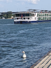 A large river cruise ship named Royal Emerald is sailing along a wide river, with a white swan floating in the foreground. In the background, a bridge is visible spanning across the river, shaded trees, and a small building are situated on the riverbank.