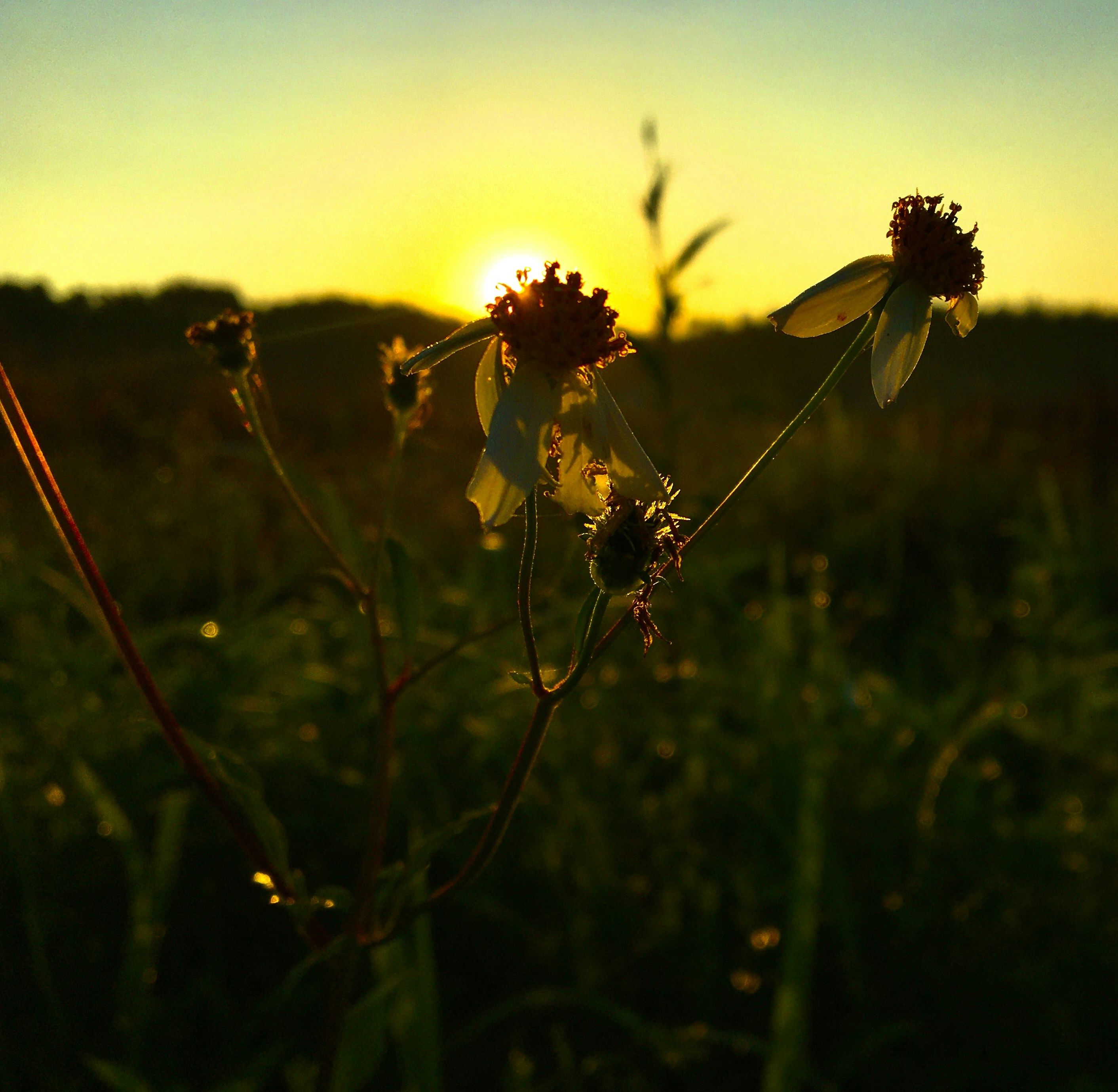 Photo by macphong2330