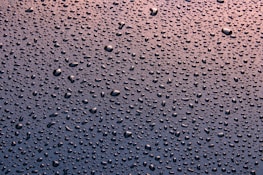 a close up of water droplets on a window