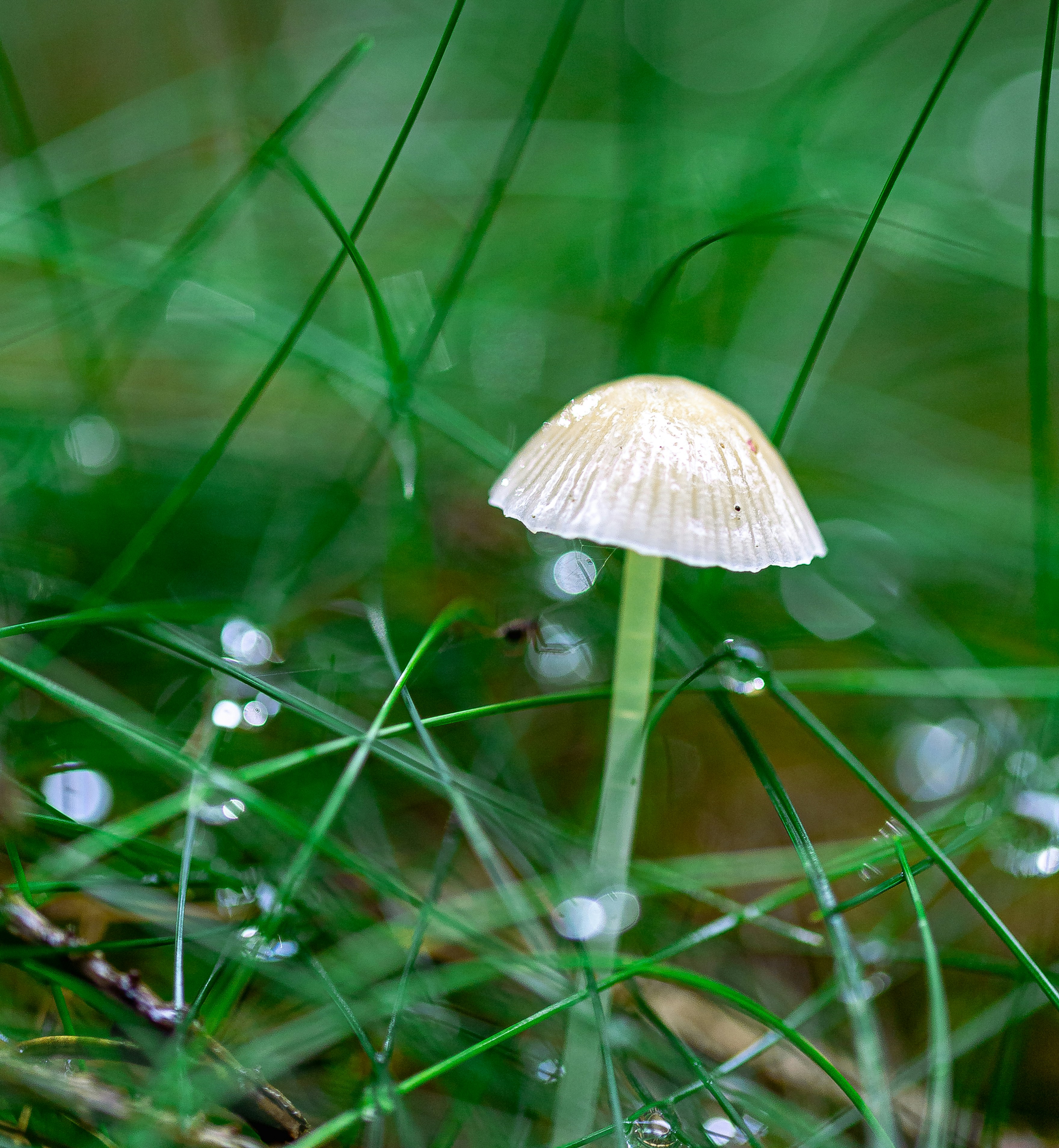 Photo by raw_negative_space