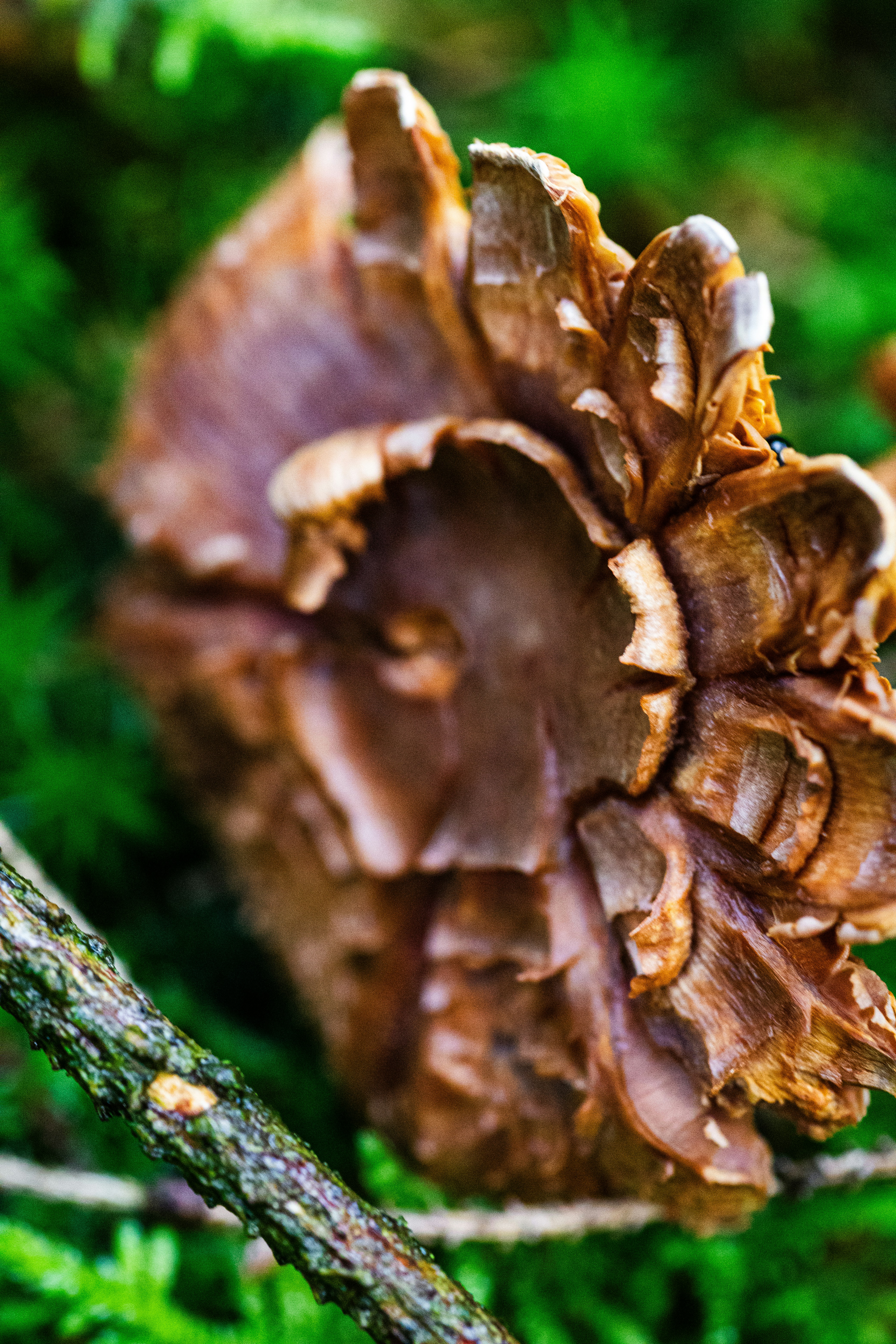 Photo by raw_negative_space