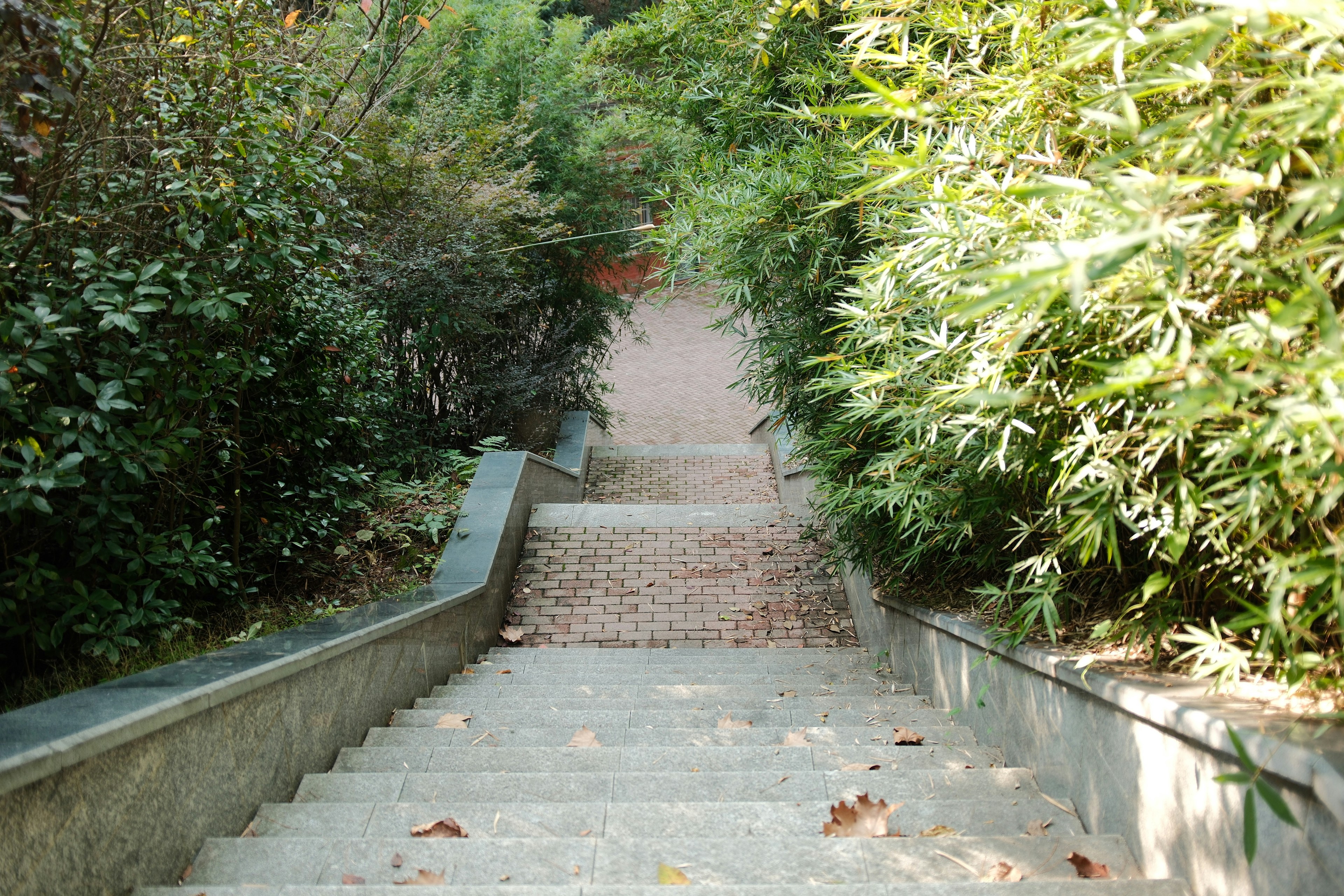 Photo by yokonoito0512