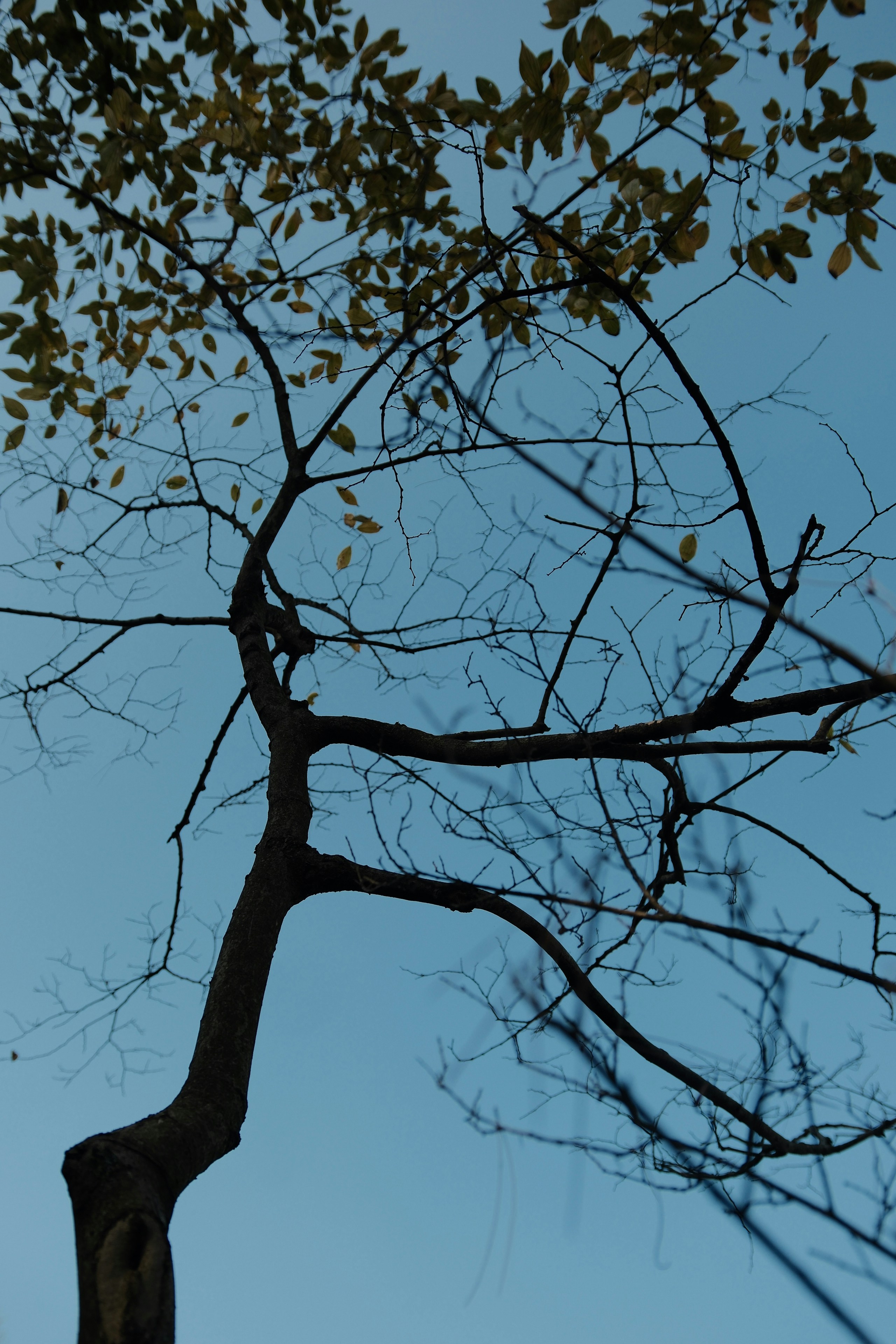 Photo by yokonoito0512