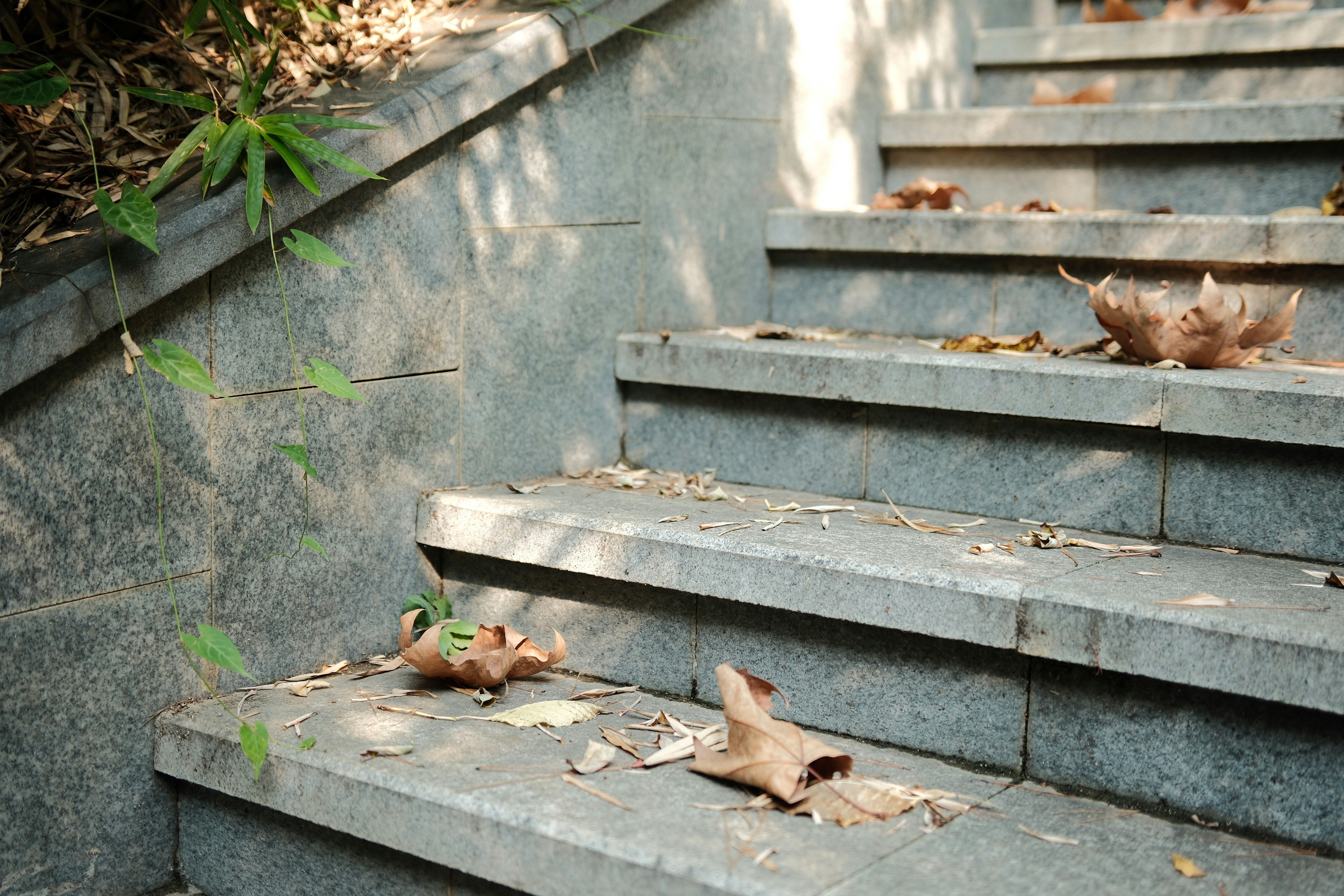 The 6-Step Value Proposition Process for Founding Teams