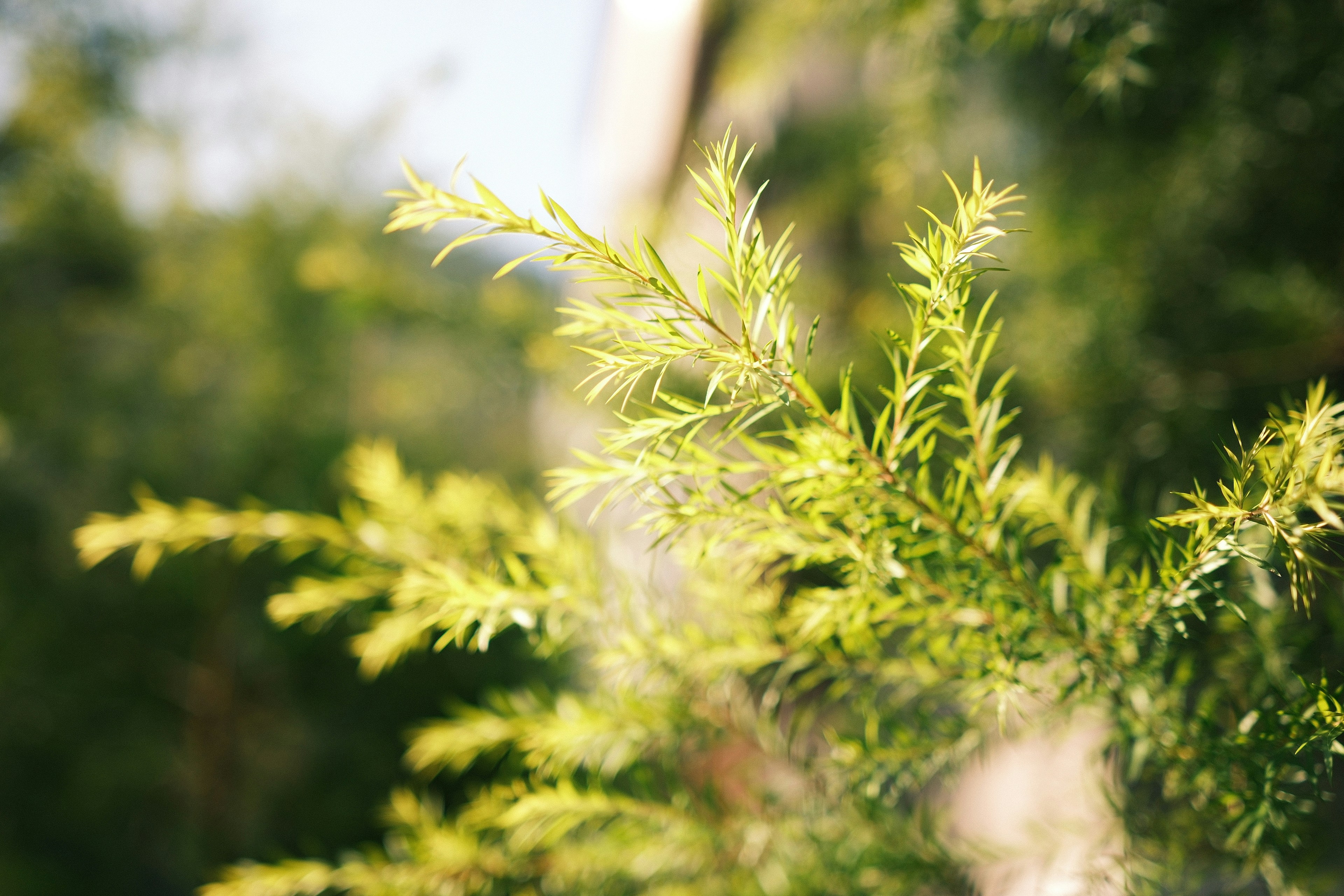 Photo by yokonoito0512