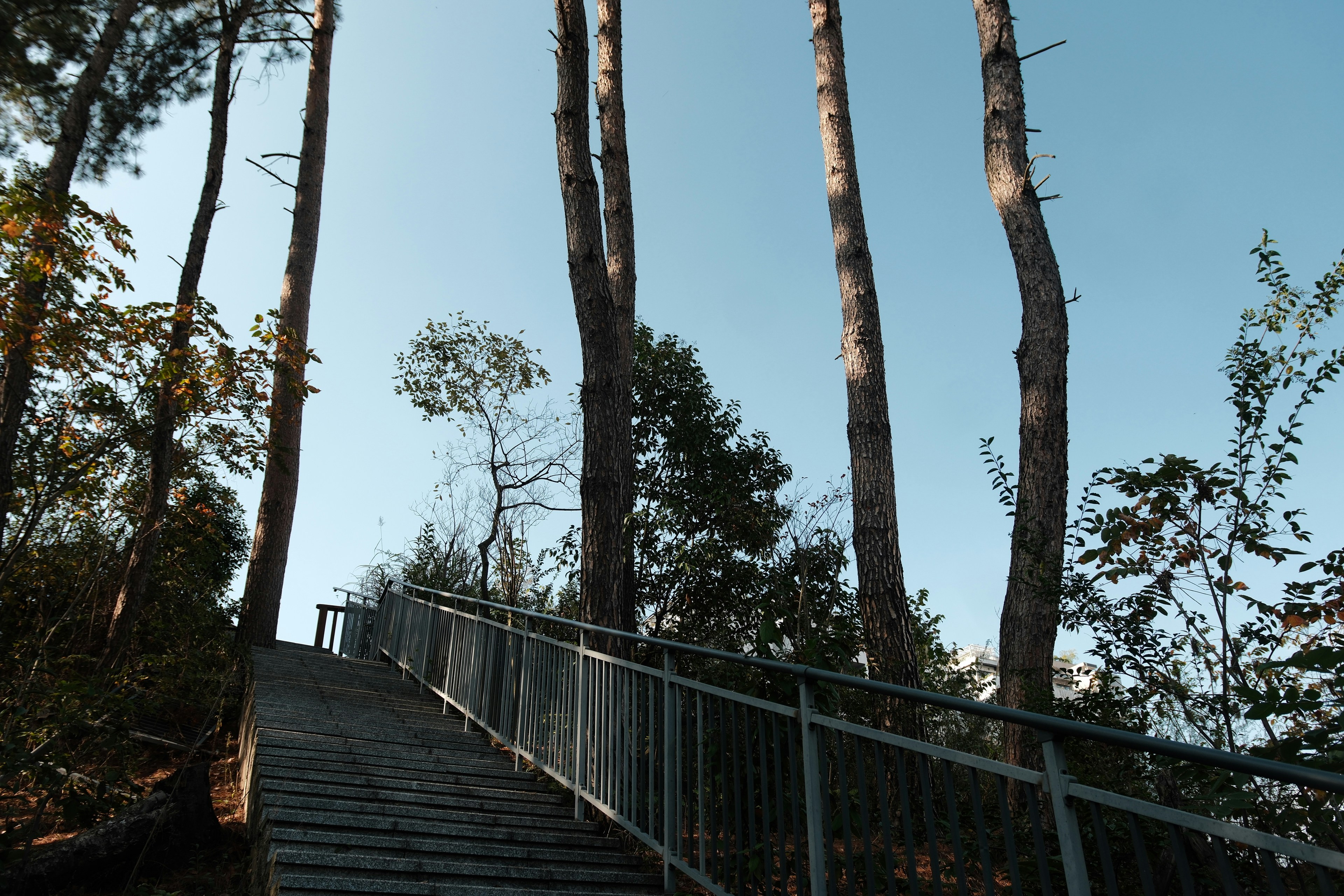 a set of stairs leading up to the top of a hill