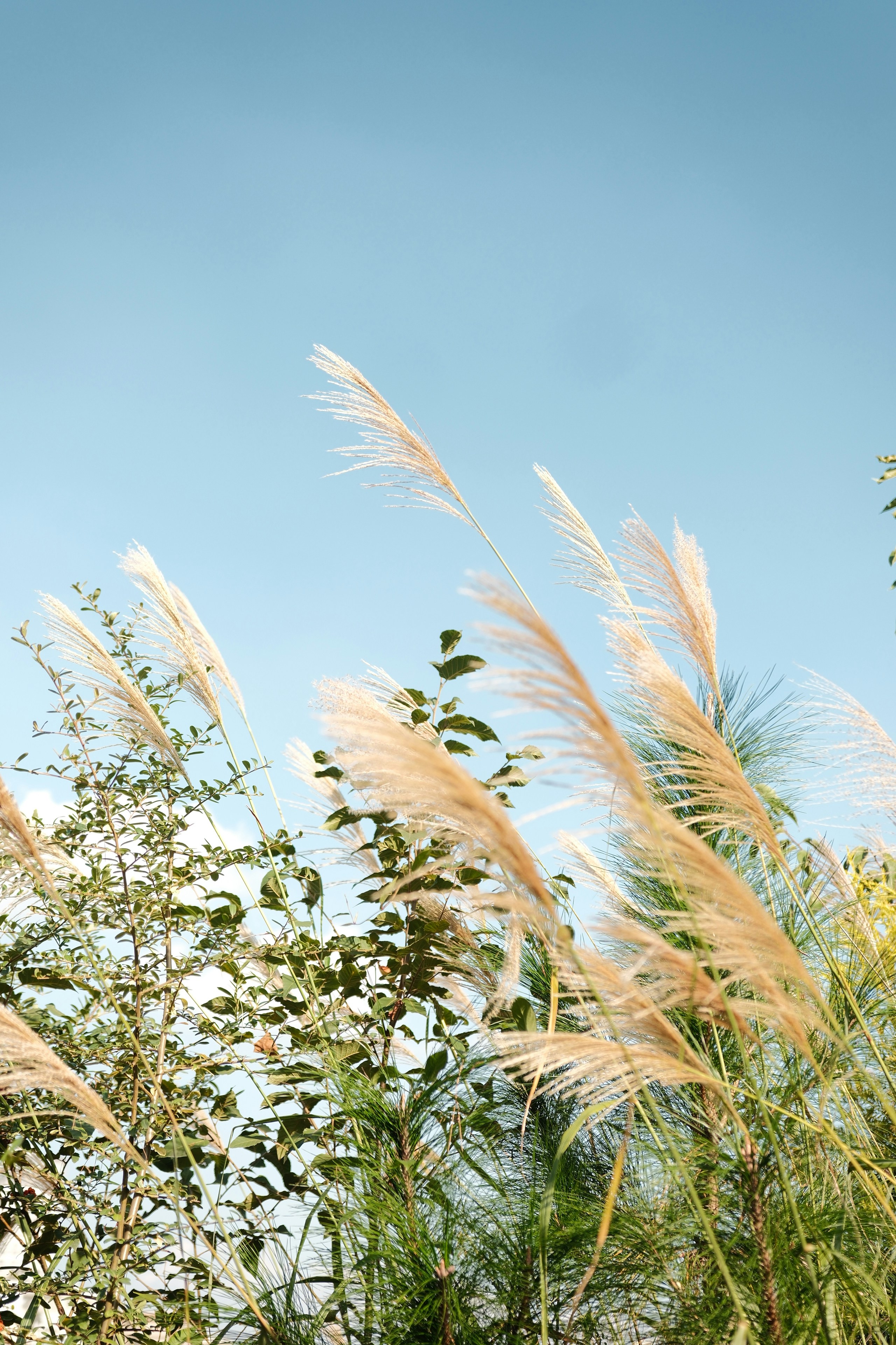 Photo by yokonoito0512