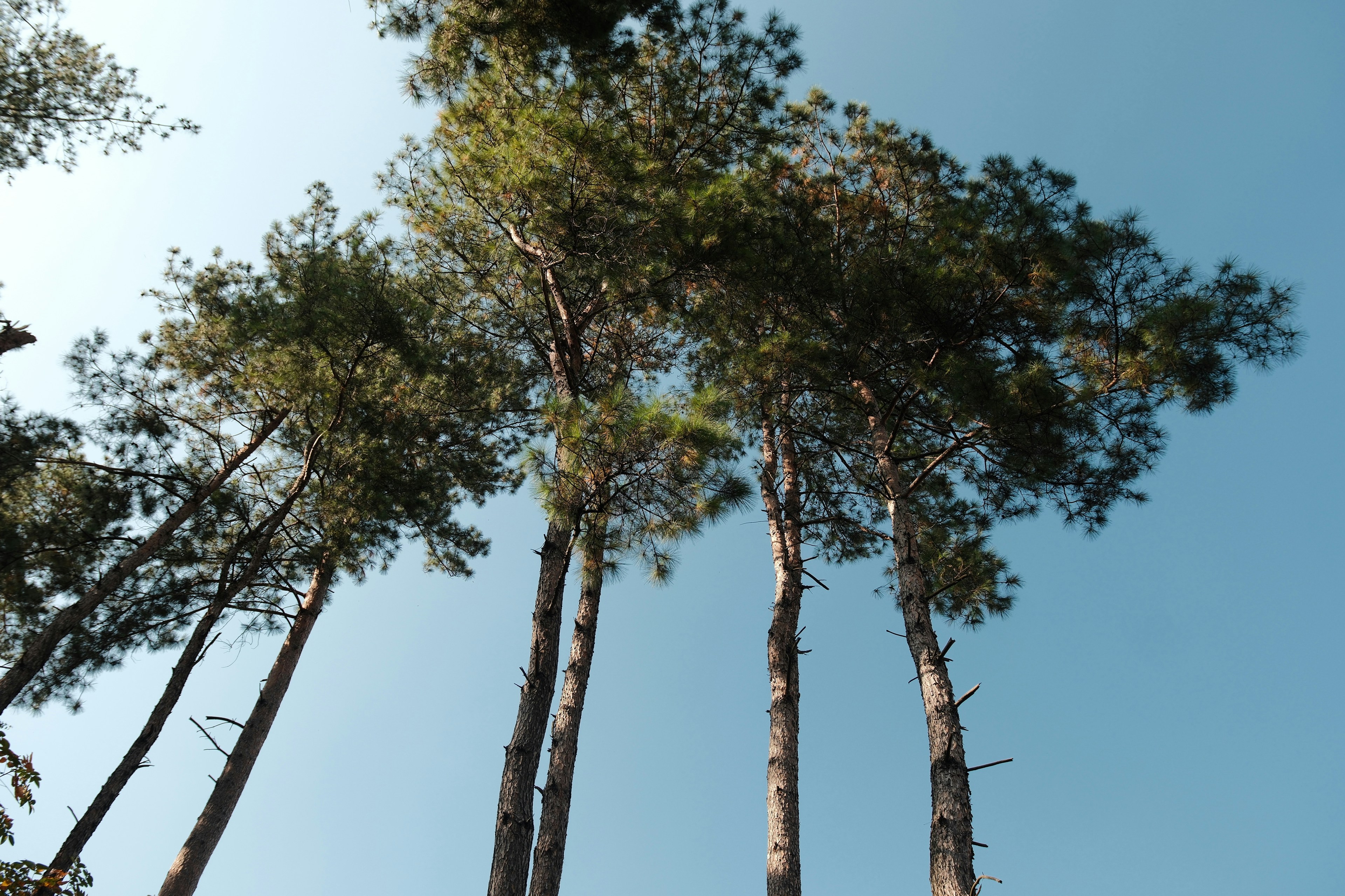 Photo by yokonoito0512