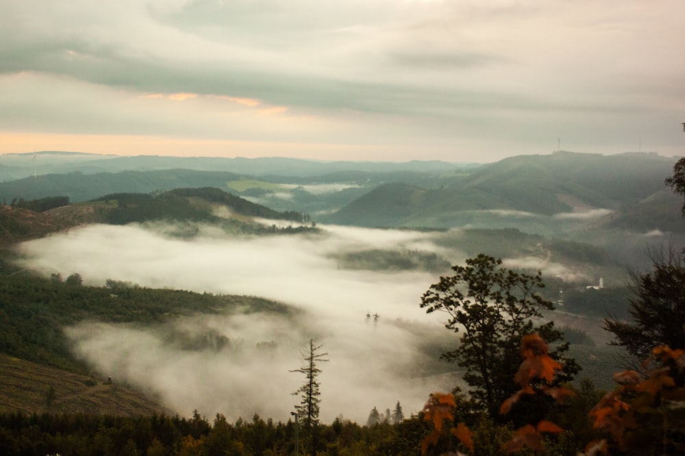 a view of a valley covered in low lying clouds