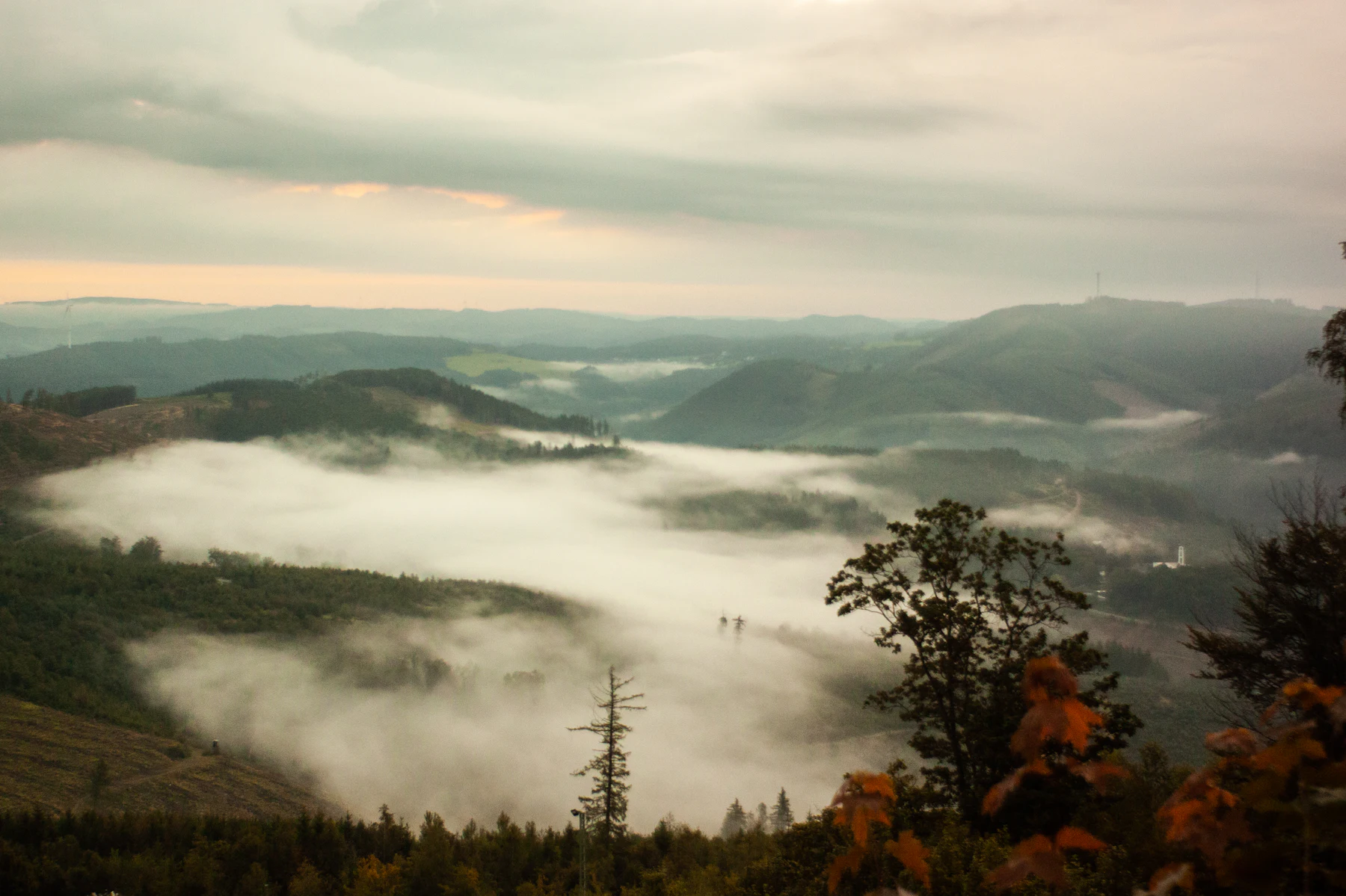 Collines boisées émergeant d'une mer de nuages