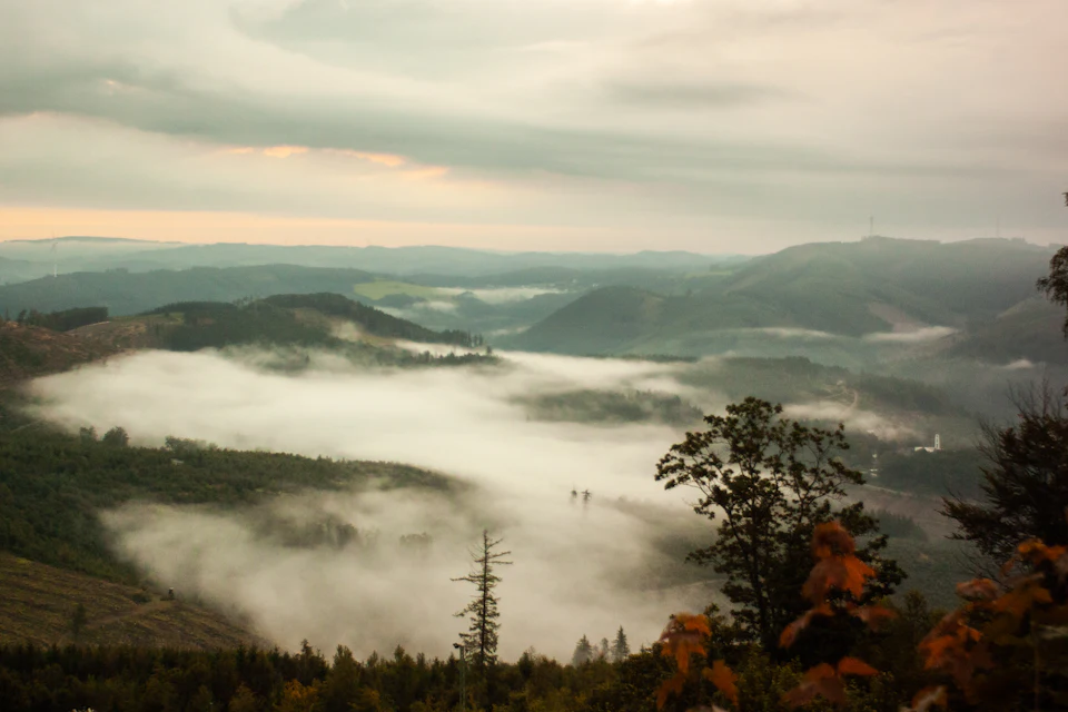 Wooded hills emerging from a sea of cloud