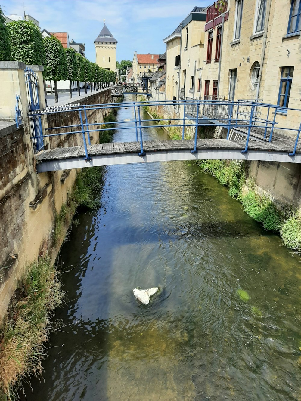 a bridge over a river with a white object floating in it
