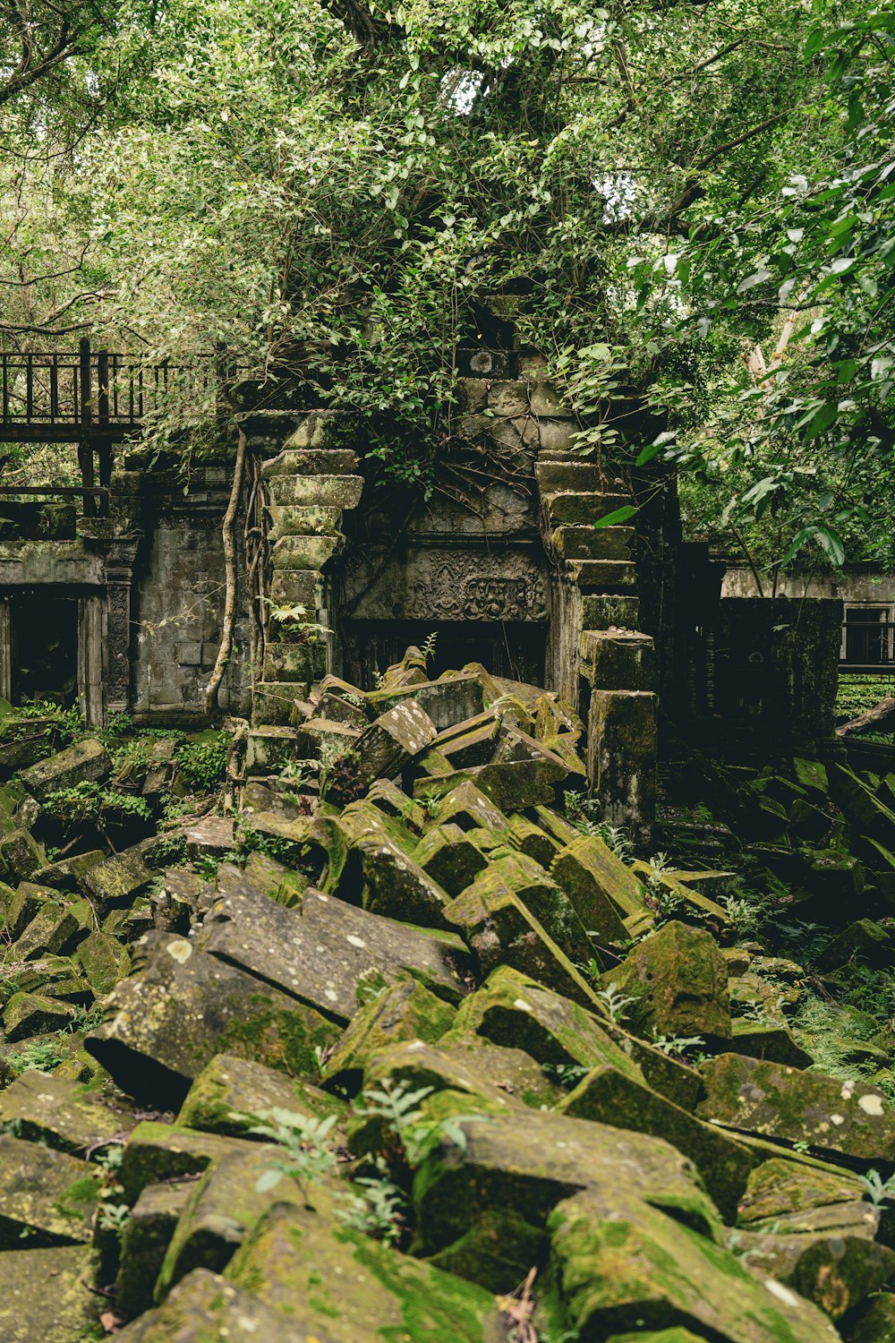 a stone wall covered in moss and trees