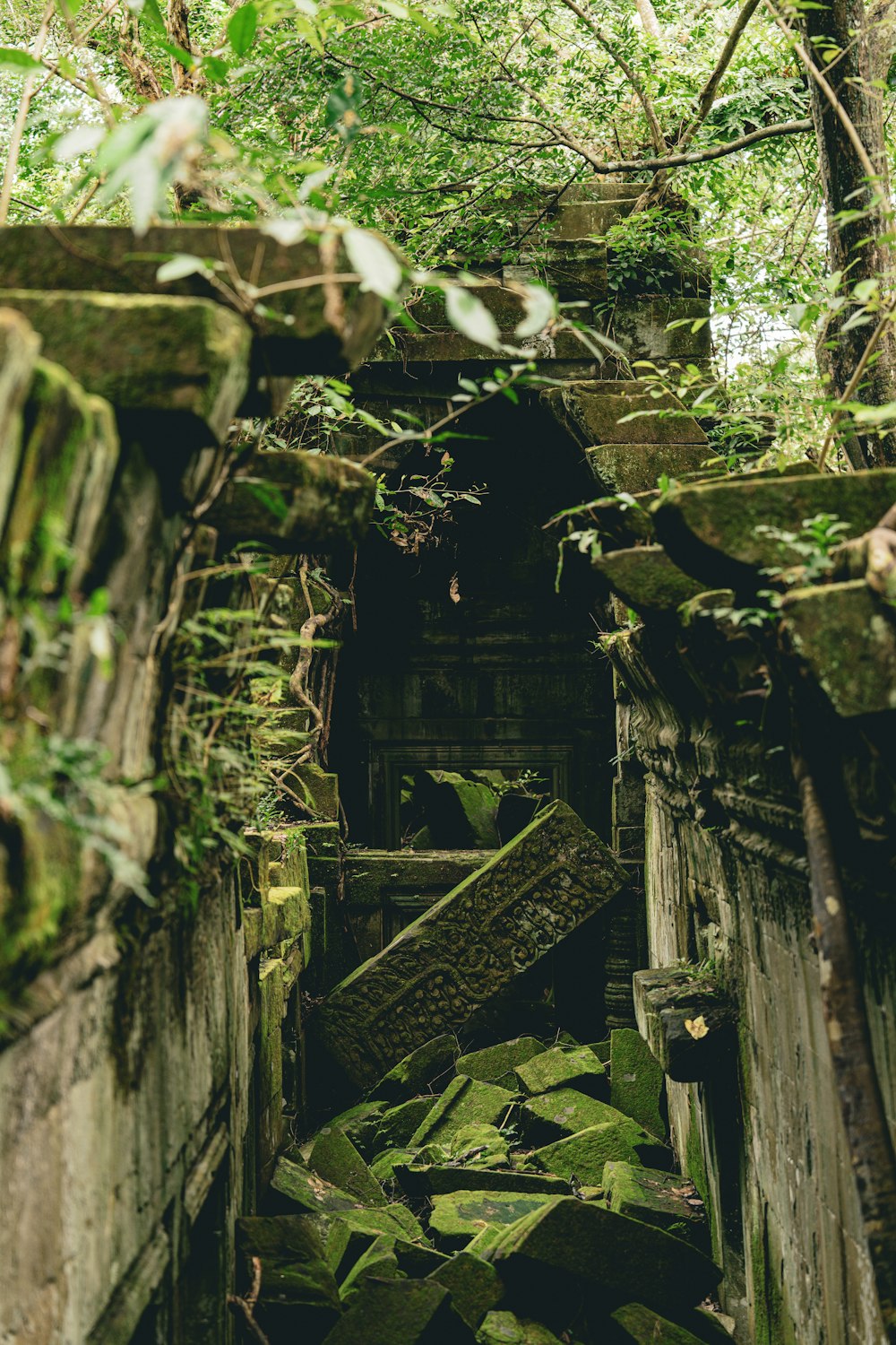 a very old building in the middle of a forest