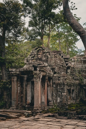 Ruins of a once-advanced civilization overtaken by nature’s reclaiming greenery.