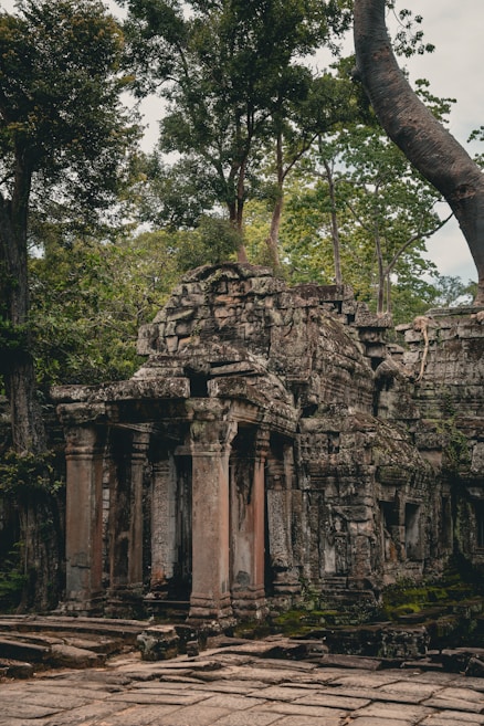 Ancient stone ruins overgrown with lush green trees, set amidst a dense forest. Intricate carvings and weathered textures cover the structure, evoking a sense of history and mystery.